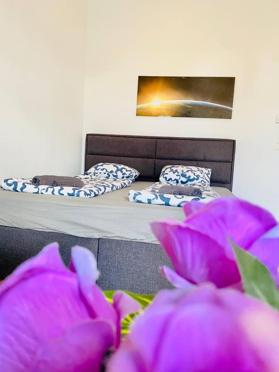 Cozy Rooms In Brigittenau Area Mm23 Виена Екстериор снимка
