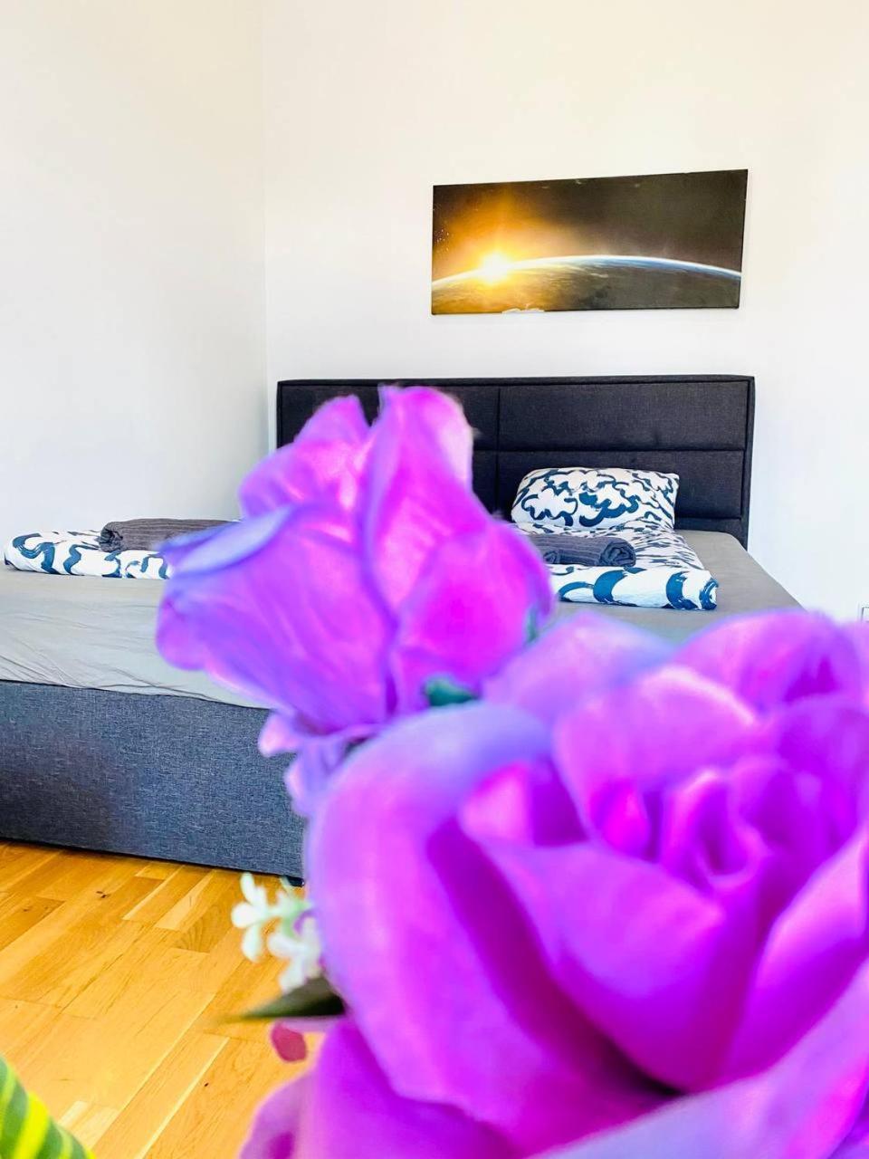Cozy Rooms In Brigittenau Area Mm23 Виена Екстериор снимка